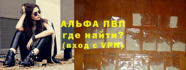 спиды Бородино