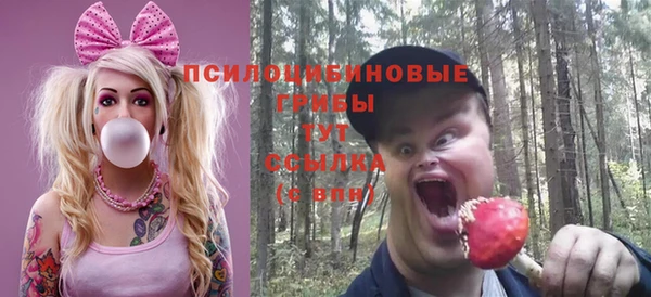 хмурый Бронницы