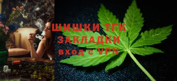 хмурый Бронницы