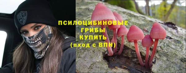 спиды Бородино