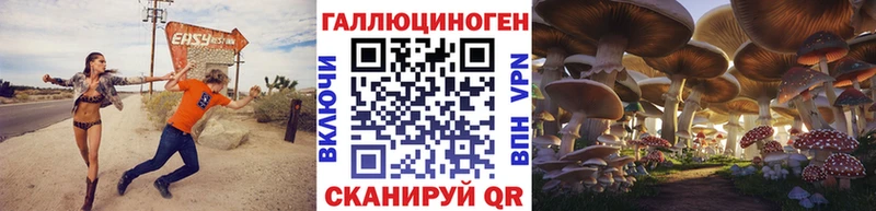 купить наркотики цена  Медногорск  Псилоцибиновые грибы ЛСД 