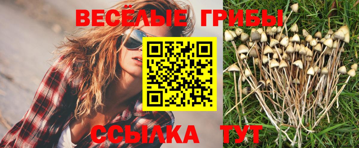 Галлюциногенные грибы мицелий  Псилоцибиновые грибы Magic Shrooms  Вход с VPN  Медногорск 
